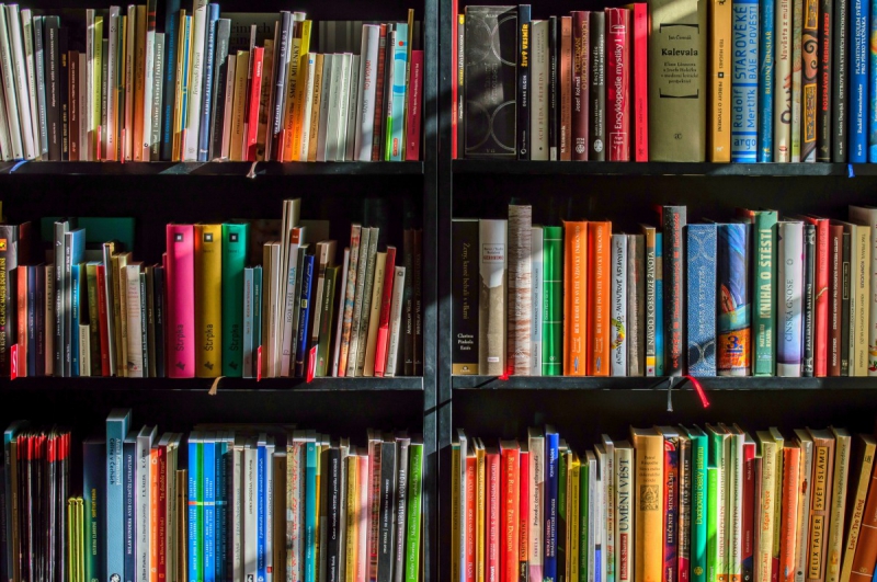 ecommerce-PONTEVES-min_books_bookstore_book_reading_shop_writer_sale_books_read-822866
